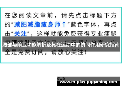 腰部与前卫功能解析及其在运动中的协同作用研究指南
